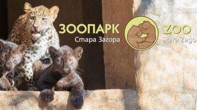 Изображение 519
