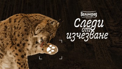 Изображение 838